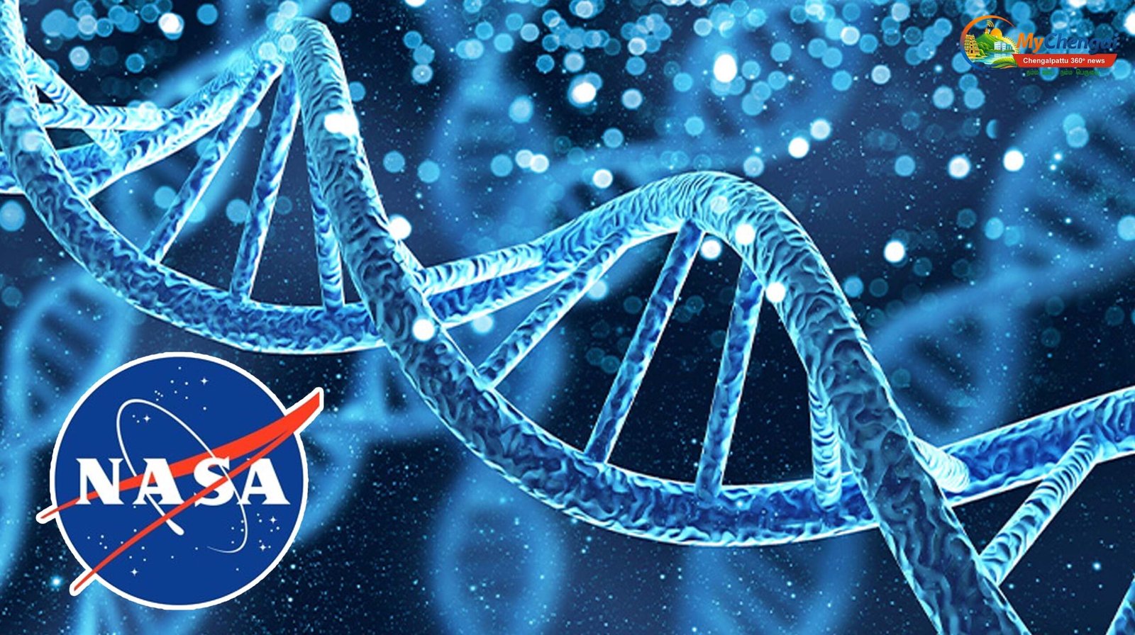 DNA