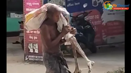 bihar 1