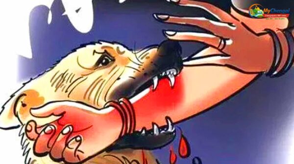 நாய் நகம் கீறியதில் அலட்சியம்: ரேபிஸ் பாதித்து பெண் உயிரிழப்பு