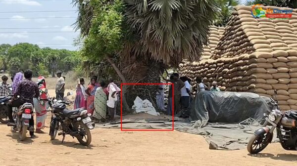 நெல் சேமிப்பு கிடங்கில் பெண் ஊழியருக்கு வெட்டுக்காயம்.. வடமாநிலத்தவர் மீது சந்தேகம்!
