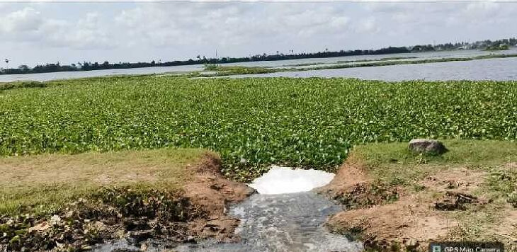 மாடம்பாக்கம் ஏரியில் தொடர்ந்து கழிவுநீர் கலப்பு