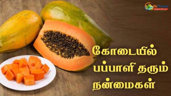 கோடையில் பப்பாளி சாப்பிட்டால் கிடைக்கும் நன்மைகள் – ஆரோக்கிய ரகசியங்கள்