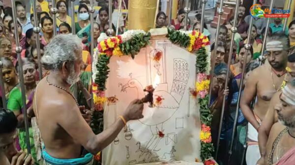 கந்தசாமி கோயில் மாசி பிரம்மோற்சவ விழா - பக்தர்கள் சிறப்பு வழிபாடு
