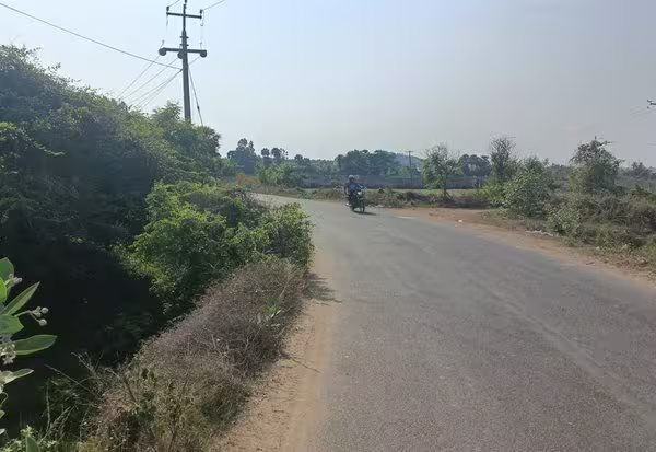 திருப்போரூர் சாலையில் அபாய வளைவு