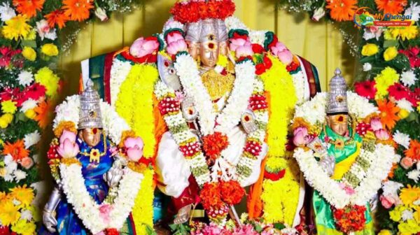 வள்ளி - முருகப் பெருமான் திருக்கல்யாணம் - திருப்போரூர் கோயிலில் கோலாகலம்