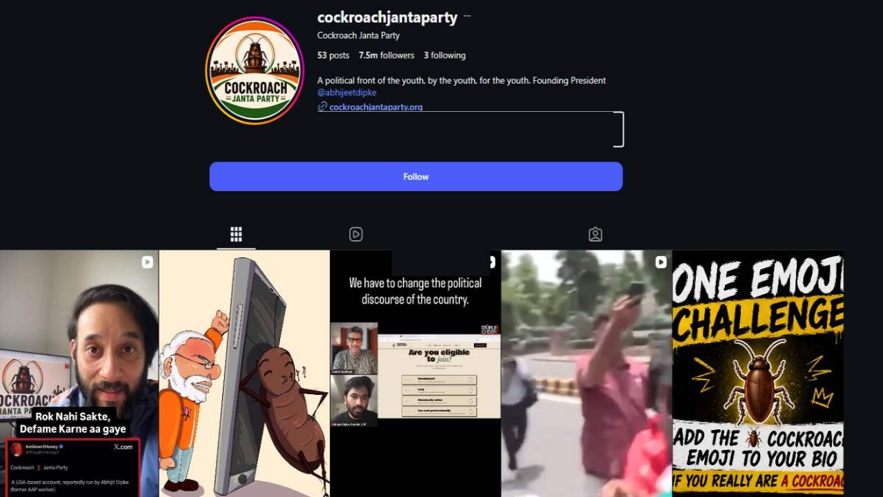 cockroach