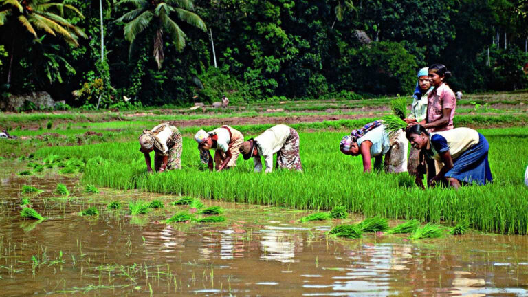 மானியம் பெற விவசாயிகள் நில விவரங்களை பதியவேண்டும்