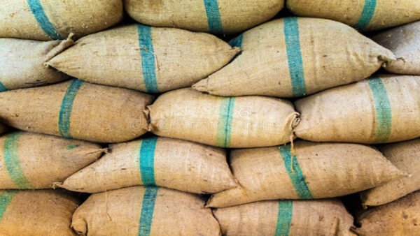 செங்கல்பட்டு நெல் கொள்முதல் மையங்களில் 17 லட்சம் கோணிப்பைகள் வரவழைப்பு