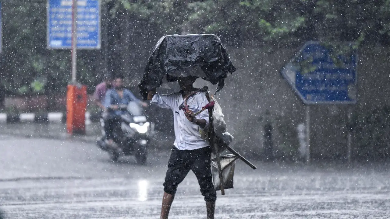 rain (1)