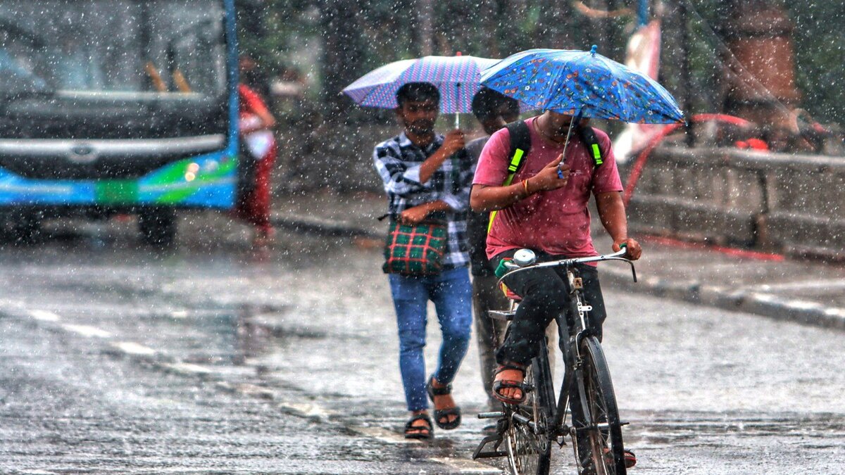 rain
