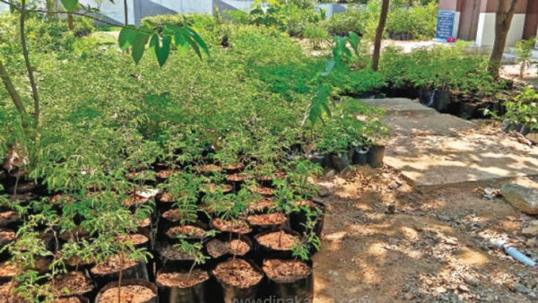 சிலாவட்டம் ஊராட்சி: 15வது நிதிக்குழு நிதியில்  மேம்பாட்டு பணிகள் தீவிரம்