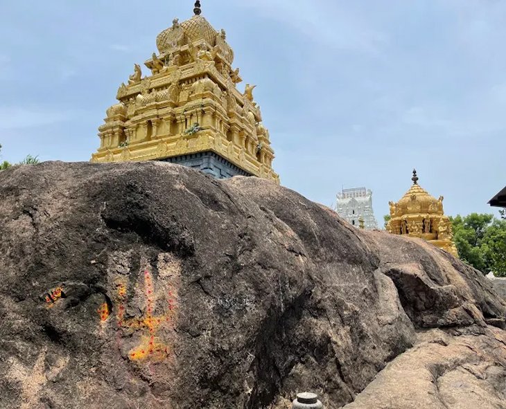 singaperumal narasimhar