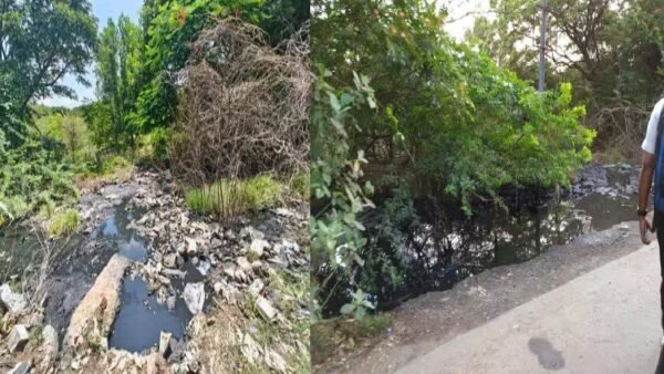 மறைமலைநகர் சிப்காட் பகுதியில் வெளியேறும் கழிவுநீர்: நோய்த்தொற்று பரவும் அபாயம்!