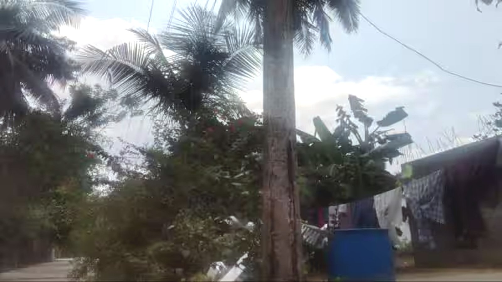 thazambedu electric pole