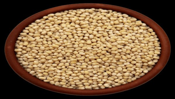 செங்கல்பட்டு: உளுந்து கொள்முதல் தொடக்கம் – விவசாயிகளுக்கு அழைப்பு