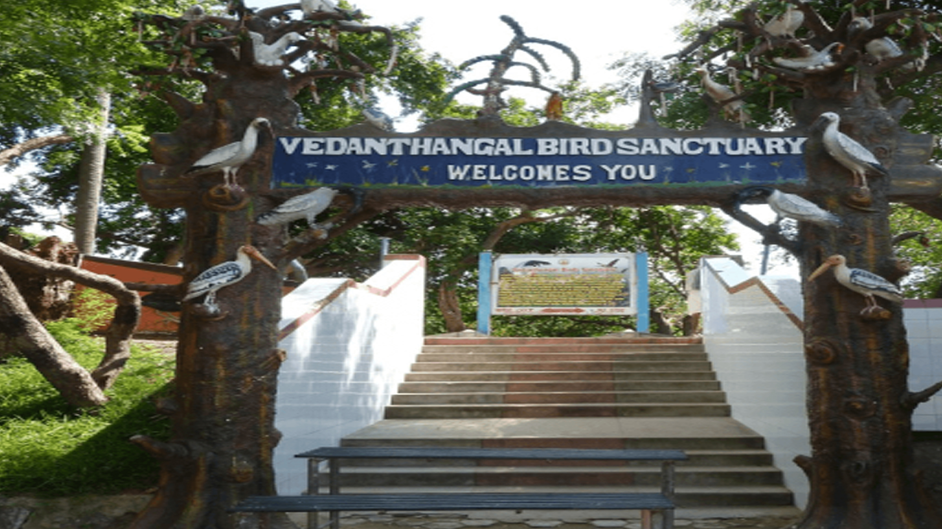 வேடந்தாங்கல் சரணாலயத்தில் பறவைகள் எண்ணிக்கை குறைவு