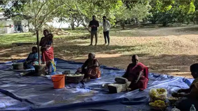 MANGO FESTIVAL