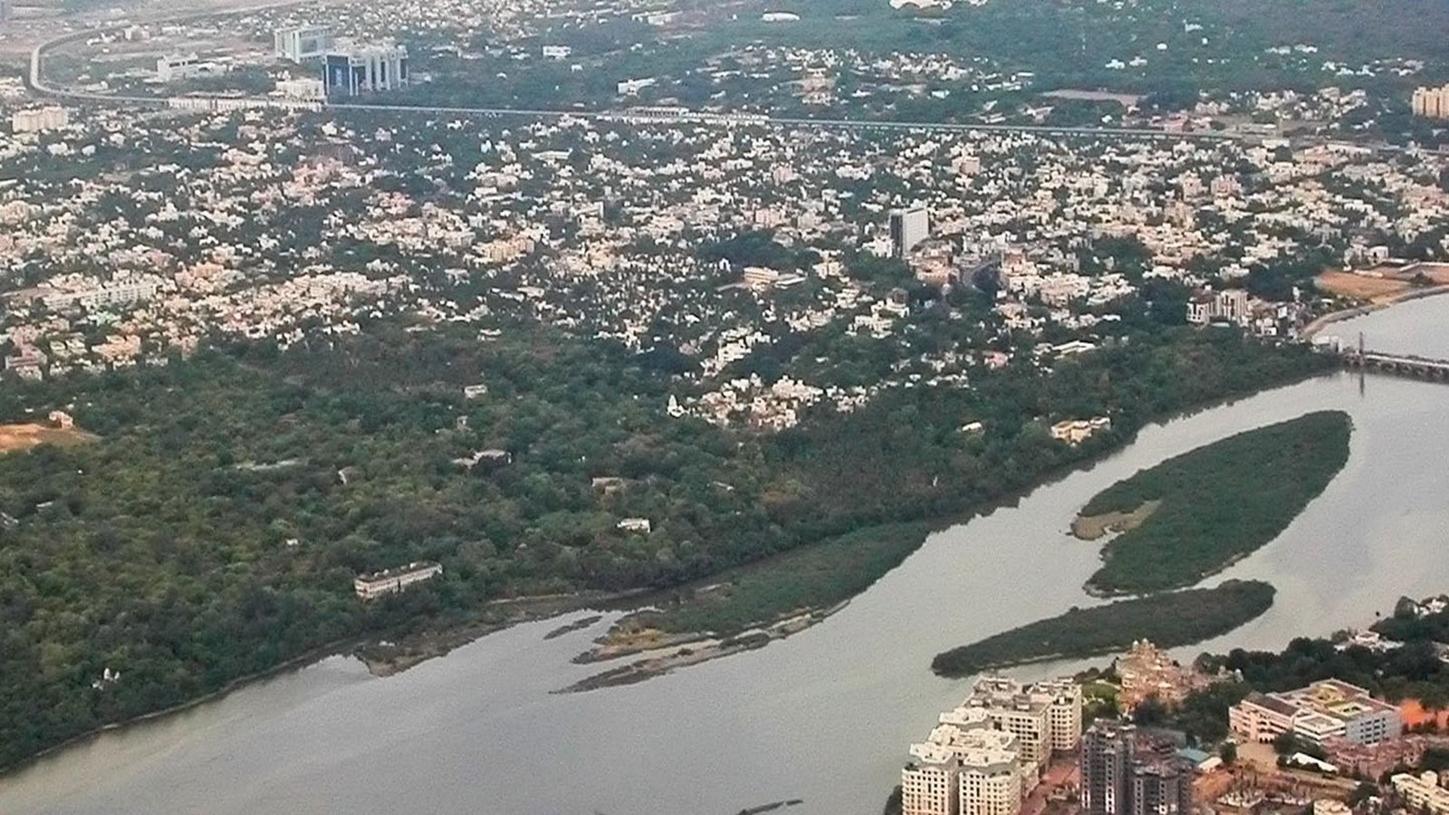 adyar river