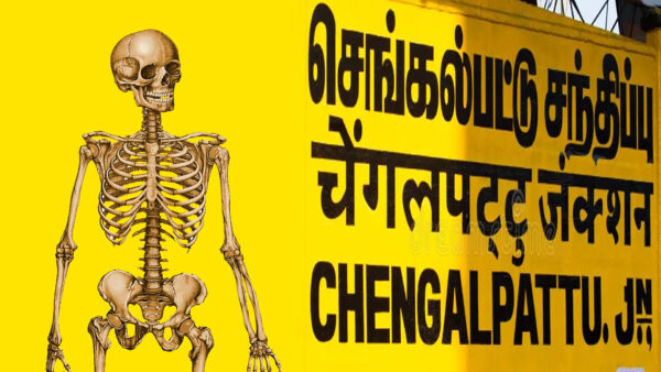 செங்கல்பட்டு: தண்டவாளத்தில் மனித எலும்புக்கூடு