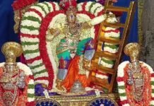 திருவொற்றியூரில் விடையாற்றி உற்சவம்: ஏணிக்கண்ணன் அலங்காரத்தில் காட்சியளித்த கல்யாண வரதராஜ பெருமாள்!