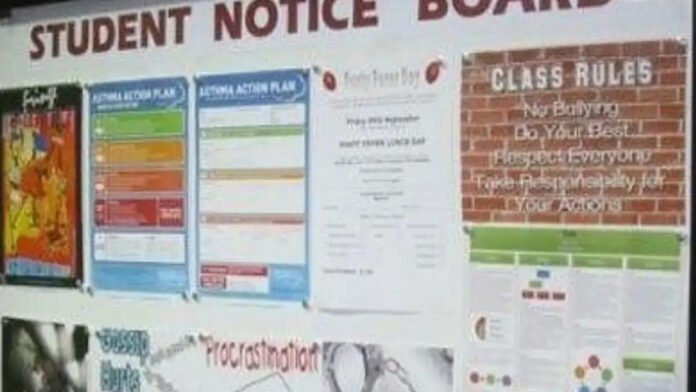 school board