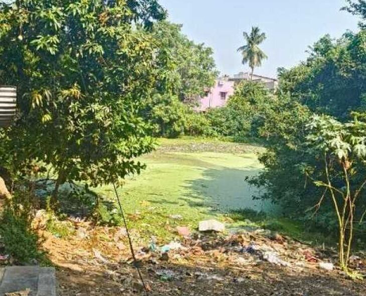 30 ஆண்டுகளாக தூர்வாரப்படாத பச்சைக் குளம்; சீரமைக்க மக்கள் கோரிக்கை