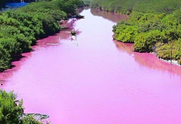 திருப்போரூரில் தொழிற்சாலை கழிவுகளால் துர்நாற்றம்: மக்கள் அவதி