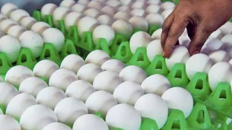 புதிய வரலாறு படைத்த முட்டை: 55 ஆண்டுகளில் இல்லாத அளவுக்கா?
