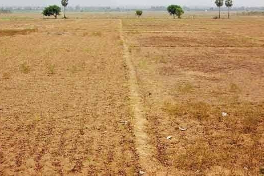 போலி ஆவணத்தில் அரசு நிலம் பதிவு: காயார் மக்கள் ஆர்ப்பாட்டம்