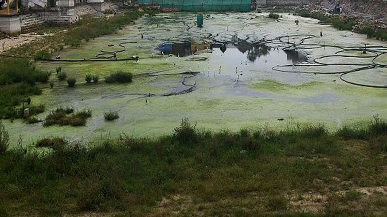 வெண்புருஷம் குள ஆக்கிரமிப்பை அகற்ற கோரி கலெக்டரிடம் மனு