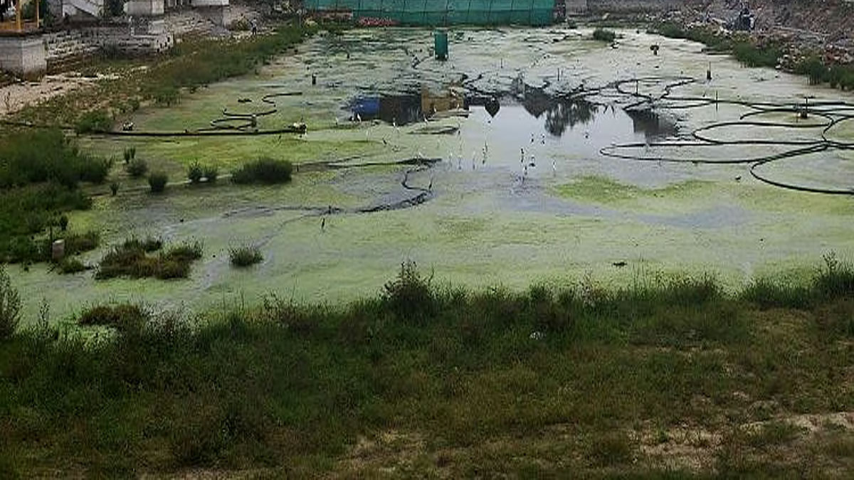 வெண்புருஷம் குள ஆக்கிரமிப்பை அகற்ற கோரி கலெக்டரிடம் மனு