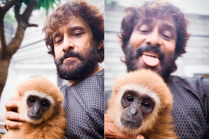அரிய வகை குரங்குடன் நடிகர் விக்ரம் வீடியோ: வனத்துறை நோட்டீஸ் அனுப்ப முடிவு!