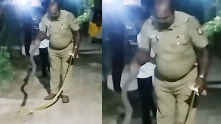 போலீஸ் எஸ்.ஐ. மீது கடும் விமர்சனத்தை கொட்ட வைத்த சாரைப் பாம்பு – நடந்தது என்ன?
